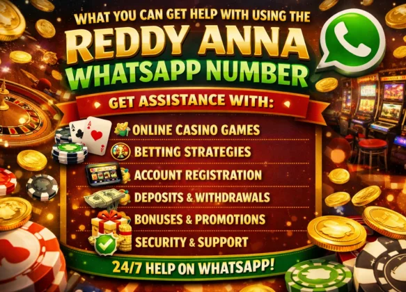 What You Can Get Help With Using the Reddy Anna WhatsApp Number